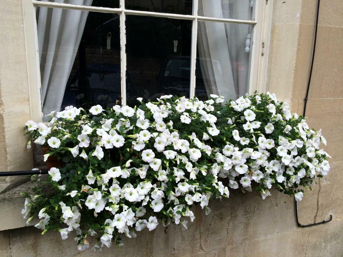 No 4 Ainslie'S Belvedere B&B Bath Extérieur photo